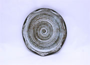 Rice bowl Ki 394-16 Icchinka Rice Bowl